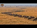 Download Lagu SERENGETİ’DEN MAASAI MARA’YA | Afrika’nın en ölümcül rotasında aşırı hayatta kalma – Belgeseli