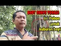 Download Lagu KUBURAN TERUNIK DI DUNIA || BABY GRAVE TREE IN TORAJA