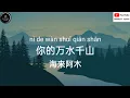Download Lagu 你的万水千山-海来阿木「孤单的人心易碎 未曾放下的人怕回忆」#danny77lyrics #丹尼77歌词