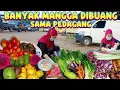 Lagu Banyak mangga dibuang saat kita mulung dipasar pagi ini