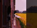 Download Lagu Meri Nind Jaise Pehli Baar Tuti Hai 💗🌼 | Ishq Wala Love { Slowed+Reverb } #lyrics #song #hindi