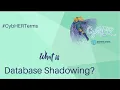 What is Database Shadowing