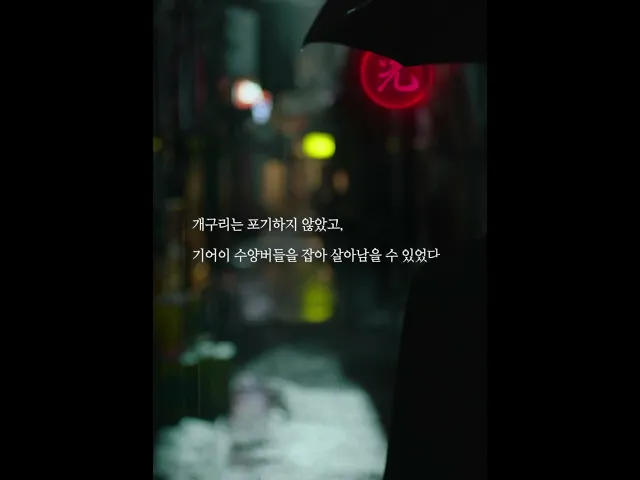 background images