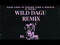 Download Lagu BAAD LORY-KLEINE TIMO-BIGI M-SHAMA-WILD DAGU REMIX (OFFICIEEL audio)