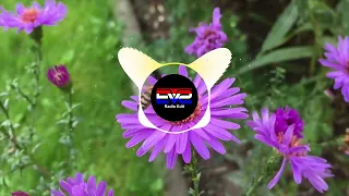 bumblebee remix evs radio edit 