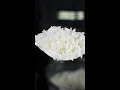 Download Lagu The Fastest Way to Cook Rice