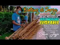 Download Lagu BINTANG DI SURGA - NOAH | angklung satria jogja - musik angklung super slow ( terbaru viral 2022 )