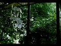 Hoosier Zen: Wind chimes on a porch