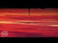 Luxage - Venus Fly Trap