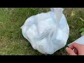 Diaper Squish and Pop