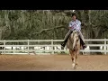 Equestrian Therapy for Veterans