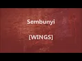 WINGS - Sembunyi - Lirik / Lyrics On Screen