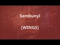 Download Lagu WINGS - Sembunyi - Lirik / Lyrics On Screen