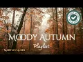 Lagu Moody Autumn Playlist | misty autumnal forest ambience and music | No AI