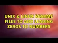 Unix Linux Rename files to add leading zeros to numbers 3 Solutions