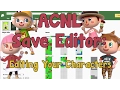 AC NL Save Editor How to Edit Your Character s Name Appearance and House