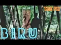 Download Lagu BIRU - THE FLY (official video)