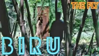 Download BIRU - THE FLY (official video) MP3