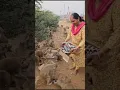 Download Lagu Shri Ram Jai Ram Jai jaY Ram #monkey #bandar #hindumantra #goverdhan #animals #mathura #funny #brij