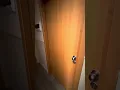 Download Lagu Ruido inaguantable en hotel: la pareja de al lado no deja dormir
