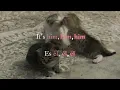 Él (Him) / José José (Letra/Lyrics)