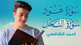 سورة هود و النحل تلاوة بصوت القارئ أحمد الشافعي 