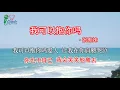 我可以抱你吗 ? wo ke yi bao ni ma -张惠妹_完整版 1个小时反复听 ！【带歌词】【单曲循环】