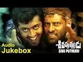 Siva Putrudu Jukebox | Siva Putrudu Telugu Movie Songs | Vikram,Suriya,Laila,Sangeetha | Ilayaraja Mp3 Song Download