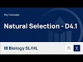 Natural Selection IB Biology