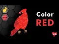 Learn About the Color RED CVI Friendly Special Education for Kids