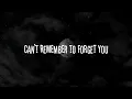 Download Lagu Shakira - Can't Remember To Forget You (speed up+lyrics)