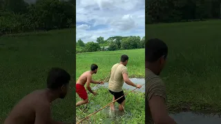 প্রচুর বড় মাছ