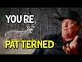 You re Not Hunting the Buck He s Hunting You