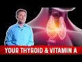 Lagu Thyroid \u0026 Importance of Vitamin A – Dr.Berg