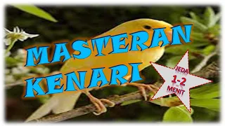 Download MASTERAN KENARI BERJEDA 2 MENIT MP3