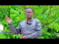 Download Lagu Xildhibanka suldaan wabar aflagaadeeyay waa nin xanuunsanaya ee ha qabsadaan beeshiisu, Buurmadaw 
