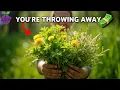 Download Lagu 10 veelvoorkomende onkruiden die eigenlijk dure superfoods zijn (die nu in jouw tuin groeien!)