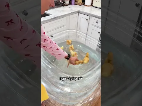 Người phụ nữ này vô tình va phải con vịt của mình 😳