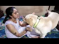 Download Lagu Mum is tired after long day. But Coco need his cuddles. Watch how gets his loving from Mum.