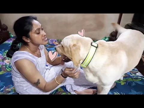 Download MP3 Mum is tired after long day. But Coco need his cuddles. Watch how gets his loving from Mum.