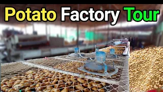 exploring a potato factory modern machines in action potato export factory infomaniatv