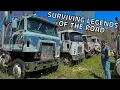 Exploring Private Junk Yard Full of RARE Cabover Semi Trucks