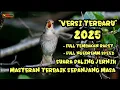 Download Lagu MASTERAN 2025 DENGAN VERSI TERBARU #sikatanlondo #nightingale #masteranburung #burung #birds