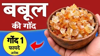बबूल की गौंद के जबरदस्त फायदे, नुकसान और उपयोग | Benefits of Babool Gond