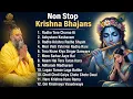 Lagu Premanand Ji Maharaj Bhajans | Radha Krishna Nonstop Bhakti Songs | Peaceful Jukebox