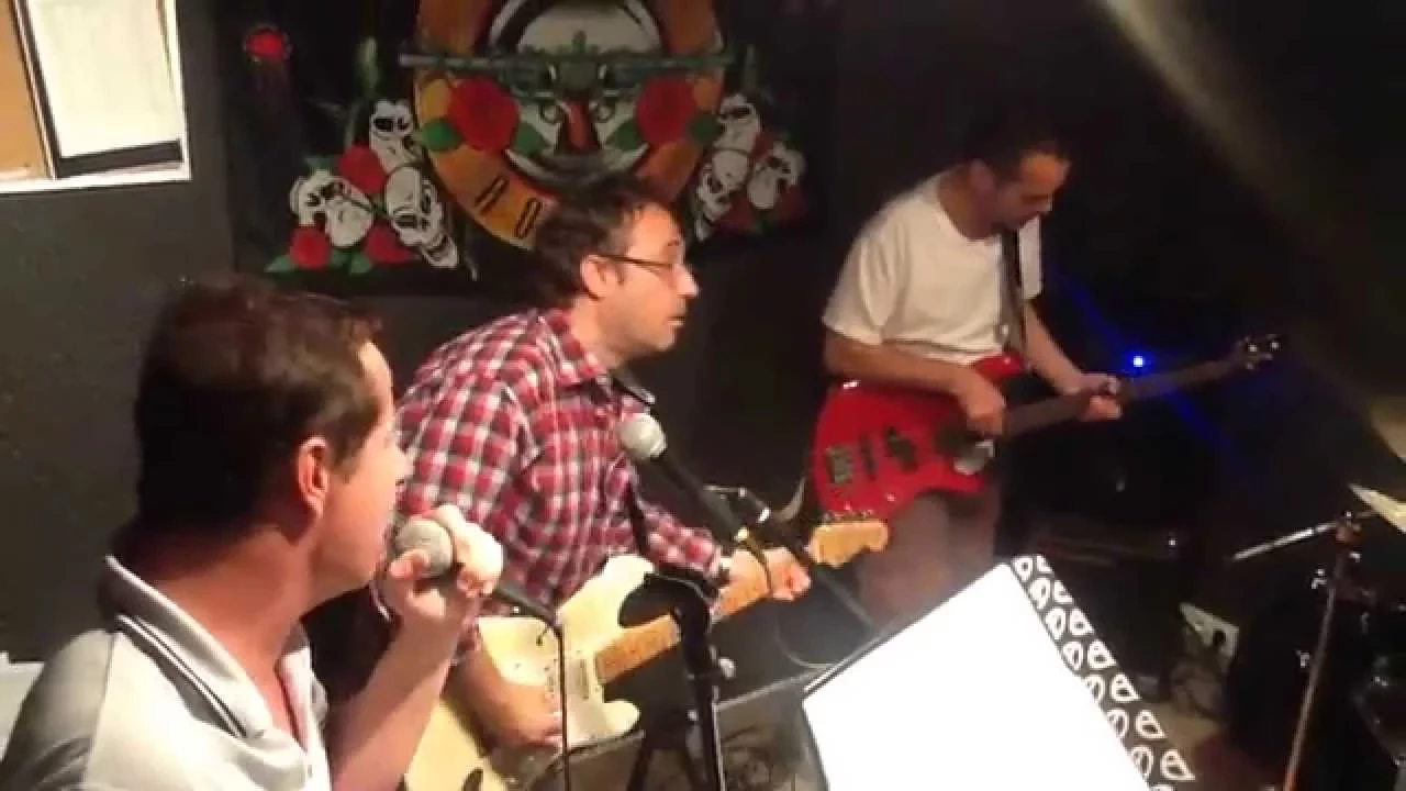 Transistor Blast Cover lloyd Cole Forest fire 2015