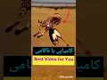 Download Lagu Surah Rahman recitation /Willed animals #quran #islam #viral #birds #nature #lion #update #news