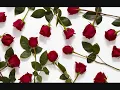 Dalida - la vie en rose