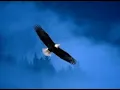 Norman Brown - Just Chillin'