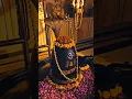 Download Lagu Om namah shivay bhole  ||❤Mahadev❤|| status videos Monday morning #morning #monday #nvnshiv #mahadev